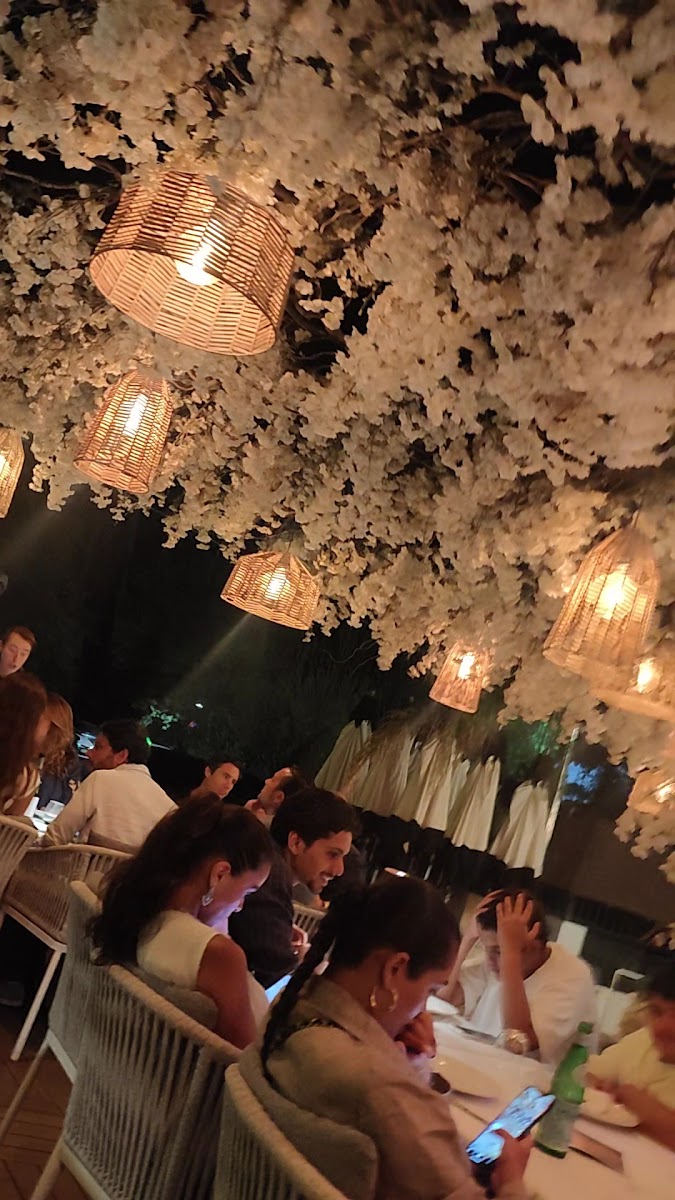 Les Jardins Du Liban-2