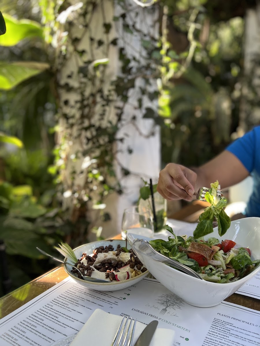 Les Jardins Du Liban-8